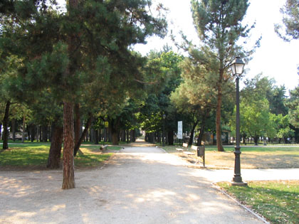 arboleda3.jpg