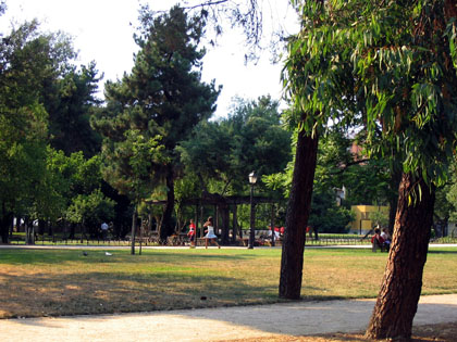 arboleda4.jpg